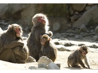 �y�G�[�XJTB�E�������s�z�啪�c�A�[�E�啪�̗��فE�z�e���\��@